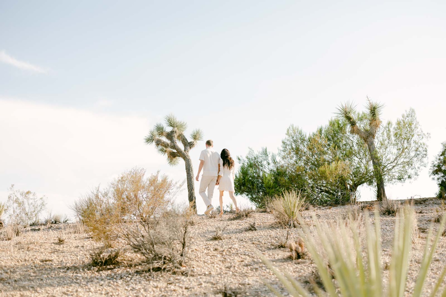 couple in all white outfits at their Joshua tree engagement photos